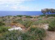 Latsima Kreta, Latsima: Grundstück in Meeresnähe zu verkaufen, nur 10 km von Rethymno! Grundstück kaufen